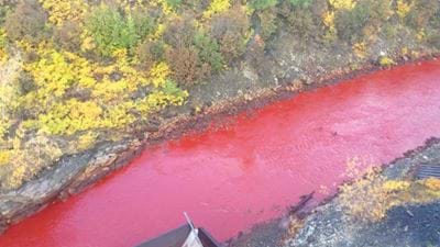 Russian River Runs Red 