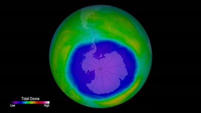Chinese insulation production thought to be source of rise in ozone-damaging chemical