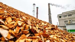 Report assesses the role of biomass in meeting climate change targets in the UK