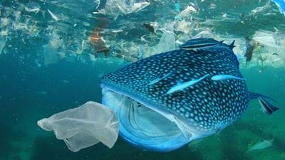 175 countries commit to create historic global plastics treaty