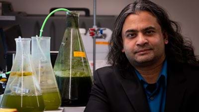 New process speeds up the production of biofuel from microorganisms