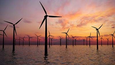 UK clean energy auction fails to secure offshore wind bids as government accused of ‘complacency and incompetence’